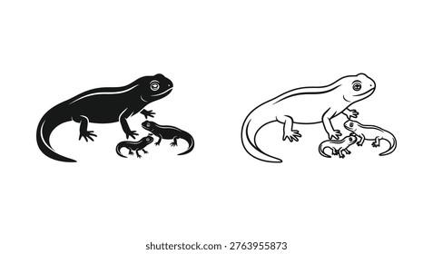 NewtsLifeCycle Stages of Salamander Development Vector