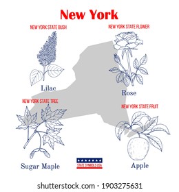 New-York. Set of USA official state symbols. Vector hand drawn illustration