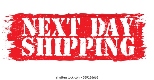 next day  shipping icon, vector illustration