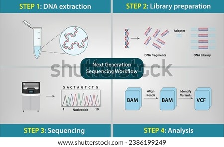 
Next Generation Sequencing NGS Technology Workflow Vector