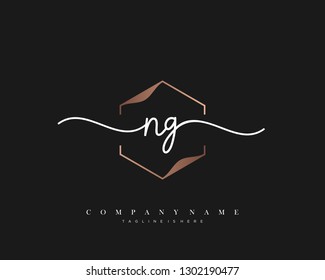  NG initial handwriting logo template vector