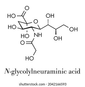 N-glycolylneuraminic acid (Neu5Gc) molecule. Sialic acid found in most mammals but missing in humans. Skeletal formula.