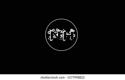 NH abstract vector logo monogram template