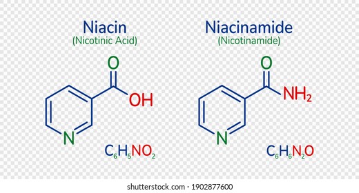 Niacin and niacinamide skeletal formula vector illustration. Nicotinamide, nicotinic acid molecule and simple text. Vitamin B3 image. Can use for medical, chemical cosmetic and scientific designs