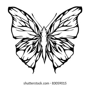 Nice airy butterfly, vector