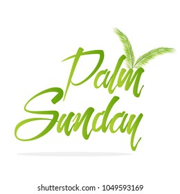 nice and beautiful abstract for Palm Sunday with nice and creative design illustration of a palm leaf in a background.