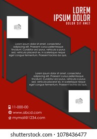 nice and beautiful business brochures or flyers templates with nice and creative design illustration