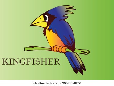  NICE BIRD KINGFISHER  WITH BACKGROUND