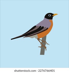 Nice bird vector art work