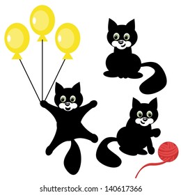 nice black cat on white background