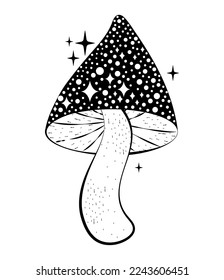 nice black mushroom with sparks