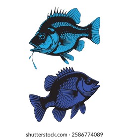 a nice Blue Fish Illustration, tilapia, bass fish,  "this image is ai generated "