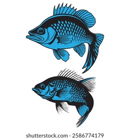  a nice Blue Fish Illustration, tilapia, bass fish,  "this image is ai generated "