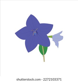 A nice blue flower vector art work