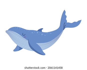 nice blue whale over white