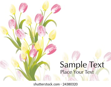 nice bouquet of lily flower vector illustration