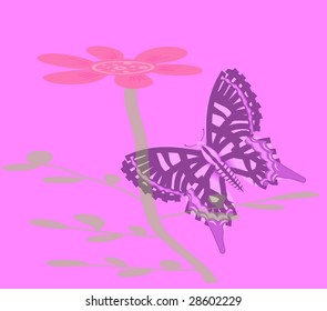 Nice Butterfly background