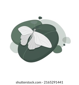 Nice butterfly and green leaves 
vector illustration