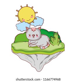 nice cat animal in the float island