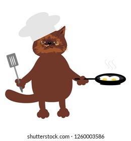 nice cat cooking eggs on white background 