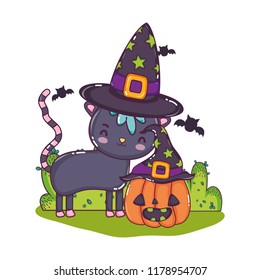 nice cat with pumpkin wearing hats and bats