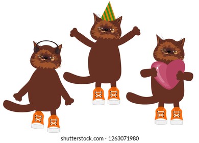nice cats on white background 