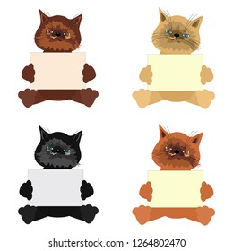 nice cats with paper or board for your text 