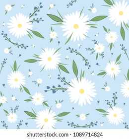 Nice chamomile on the blue background