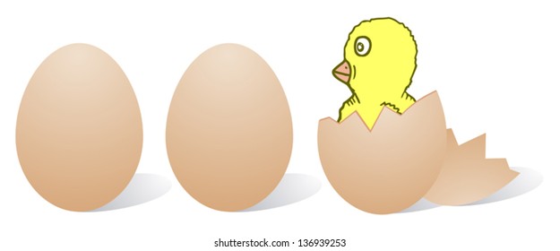 Nice chicken