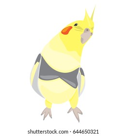 Nice Cockatiel