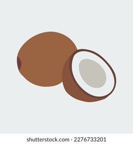 A nice coconut vector art work