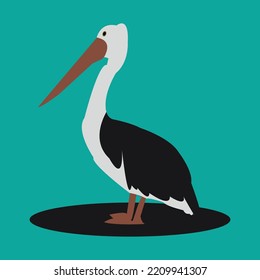 Nice And Colorful Bird Vector Illustration. 