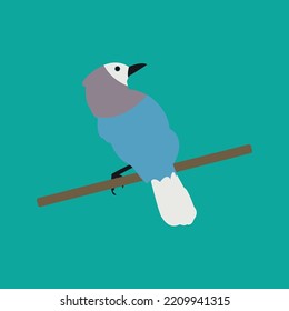 Nice And Colorful Bird Vector Illustration. 