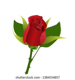 Nice and Cool Vector Rose Art