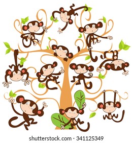 nice cute  monkey