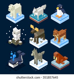 Nice and cute north isometric animals and birds: polar white bear, wolf, penguin, polar owl, deer, lynx, whale, arctic fox, walrus. Flat vector stock isolated illustration. 