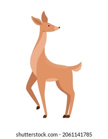 nice deer illustration over white