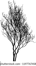 Nice detailed vector tree