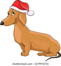 A nice domestic dog, a dachshund with a red Santa Claus hat., merry Christmas. gingerbread