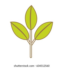 nice ecology plant with leaves