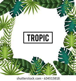 nice and exotic leaves of plants background