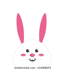nice face of happy rabbit animal