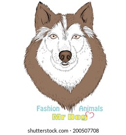 Nice fashion dog design 
