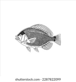 A nice fish vector line art.