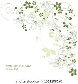 Nice flowers background for your text
