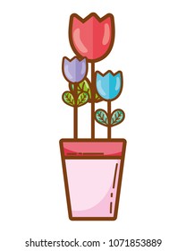 nice flowers with leaves and petals inside plantpot