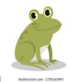 Nice frog or toad. Cute little animal, green amphibian. Vector illustration in flat cartoon style.