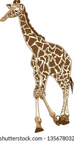Nice giraffe illustration.