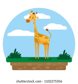 nice giraffe wild animal in the landscape