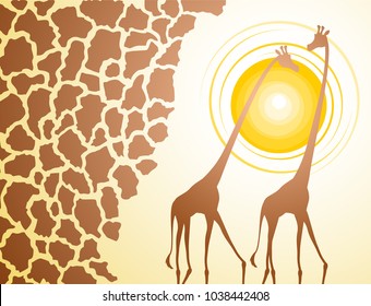 nice giraffes illustration